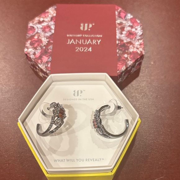 January BP Hematite Earrings with Garnet Accents - Picture 1 of 5